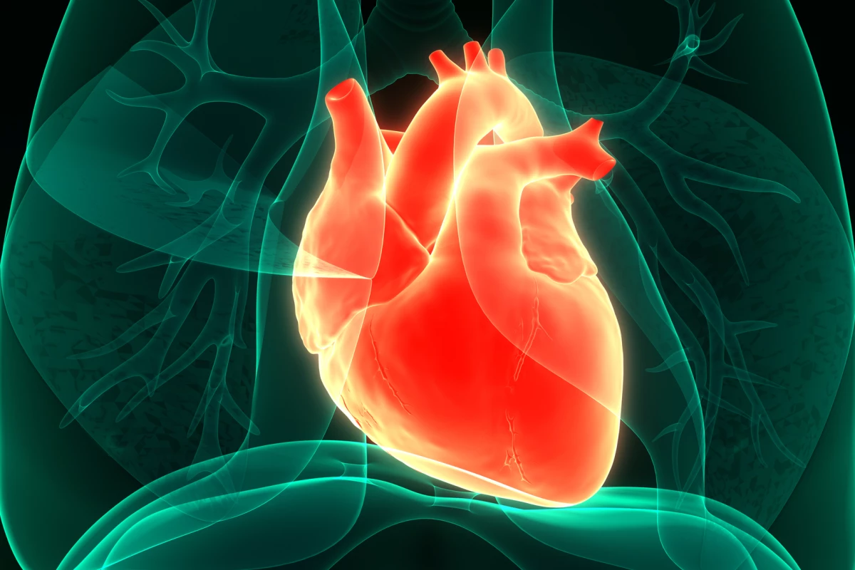 Injectable weight loss drugs can improve heart health