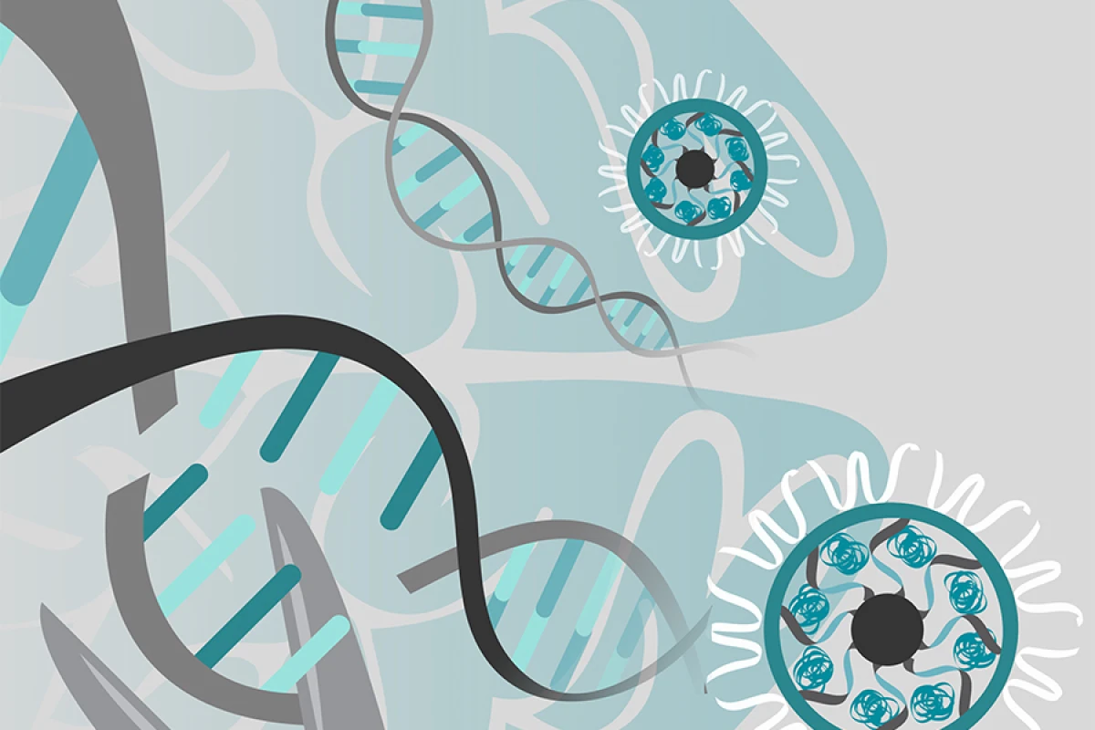 Using gold nanoparticles the researchers successfully edited a single gene associated with repetitive behaviors