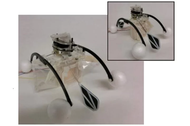 Row-bot with mouth open to take in water – inset shows mouth closed