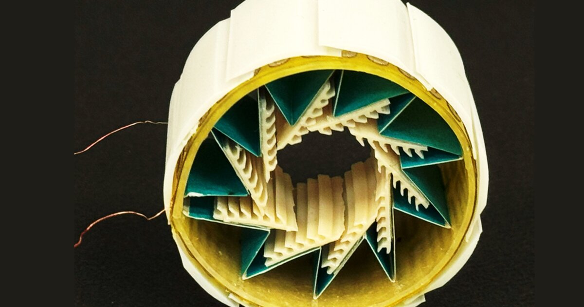 The armadillo-inspired "morpho-interlocking protective module" (MIPM)