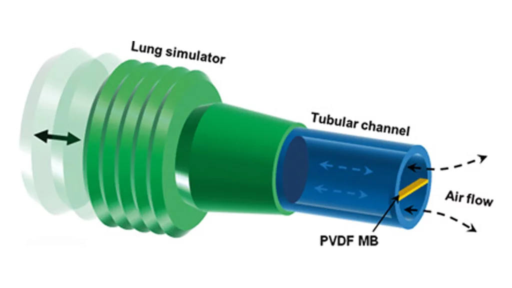 A simulated lung with the piezoelectric PVDF microband (in yellow) that vibrates as air flows past it (Image: EES Blog)
