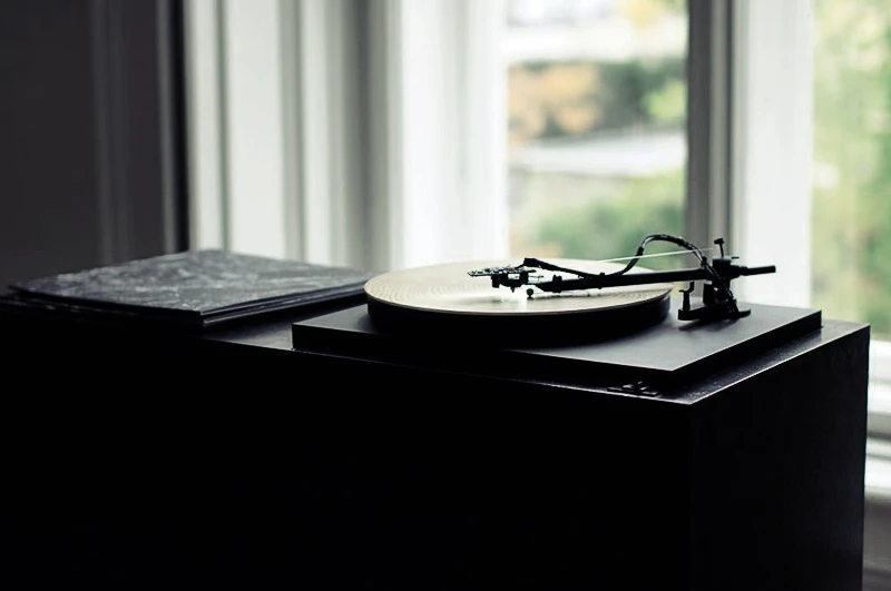 A record player designed by a German artist uses a digital camera and software to translate the rings of a tree into haunting piano music