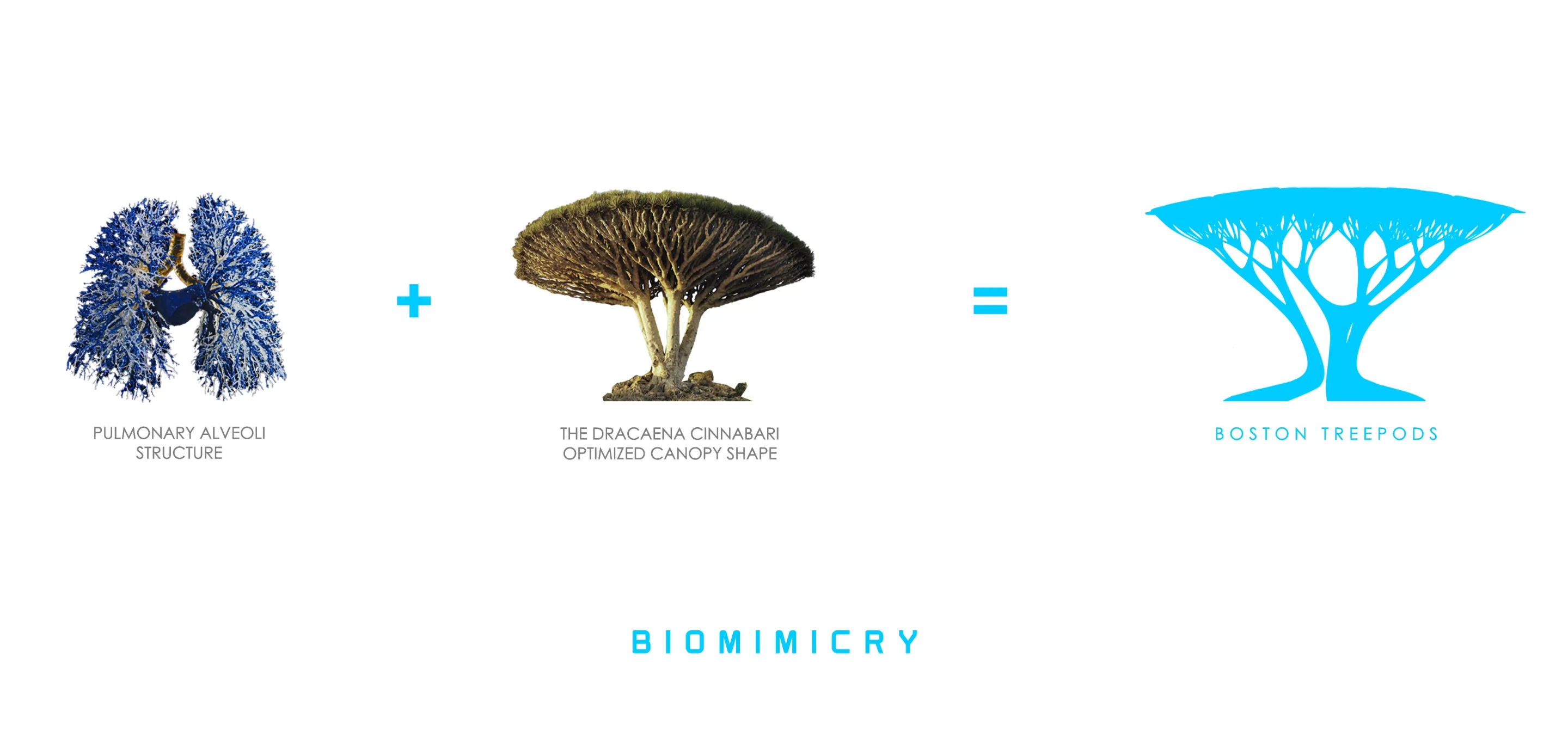 The TREEPODS concept