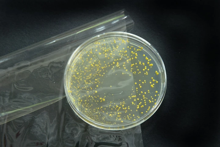 Fraunhofer's antibacterial food packaging film kills bacteria on food by releasing sorbic acid