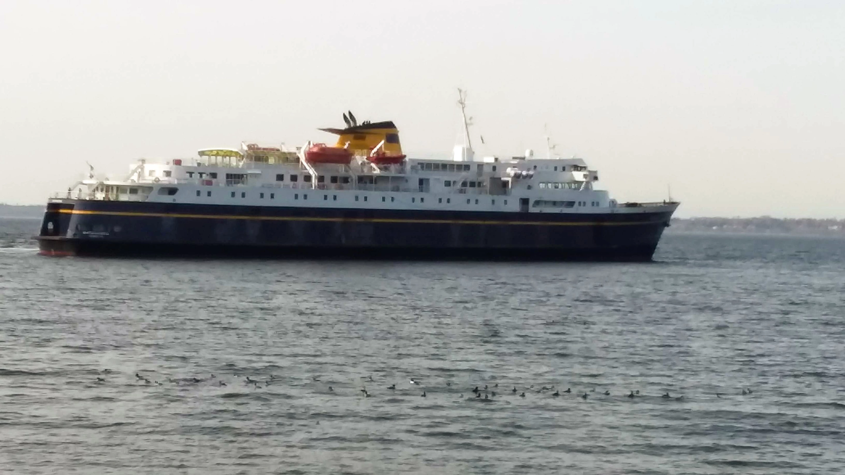 Sea collisions can cause millions of dollars in damage and put lives at risk