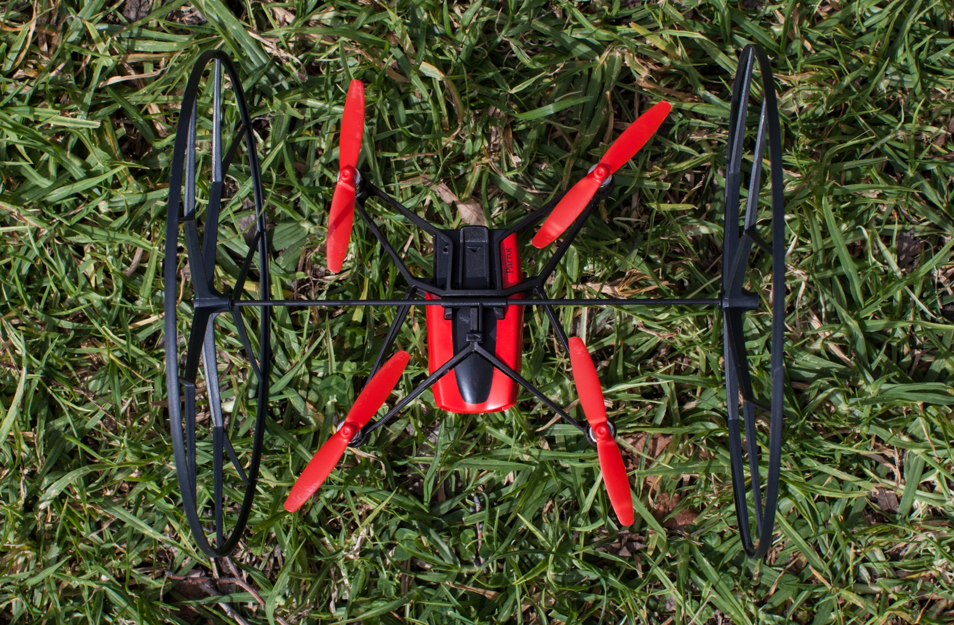 Aimed at children and newcomers, the Rolling Spider is enough to keep a novice entertained, while also enabling them to get the hang of piloting a drone (Photo: Noel McKeegan/Gizmag)