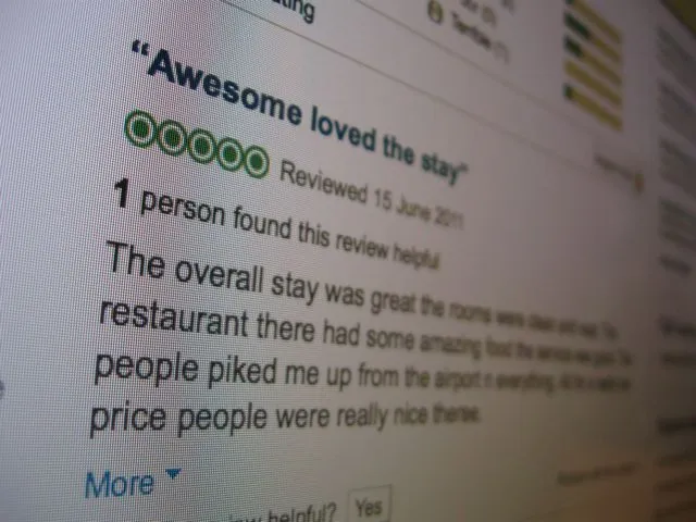Newly-developed software has been shown to pick out deceptive online reviews with almost 90 percent accuracy (Photo: Gizmag)