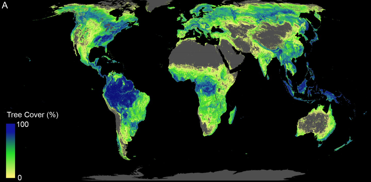 This chart shows the land available for reforestation, excluding deserts, agricultural and urban areas, as well as current forestland