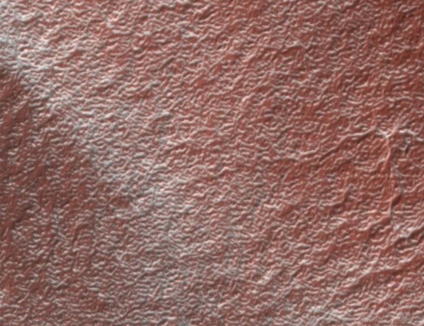 A striking variety of colors and features are evident as you work your way through the images