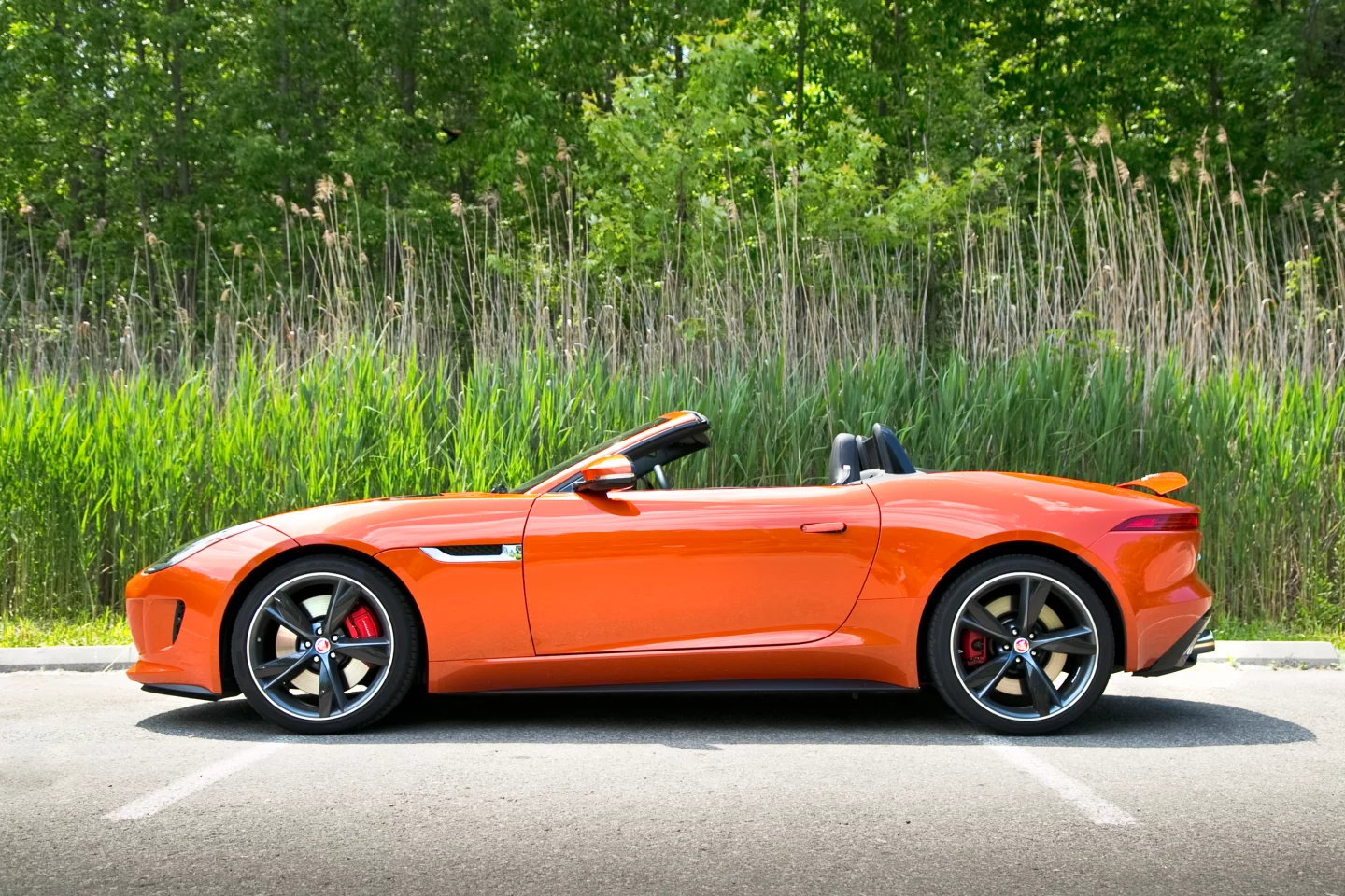 Wide flowing haunches, a shortish rear end and longish nose give the F-type some beautifully fluid proportions (Photo: Angus MacKenzie/Gizmag.com)