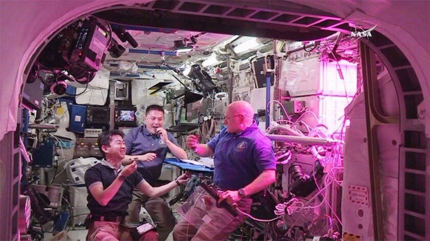 The Expedition 44 crew dining on space lettuce