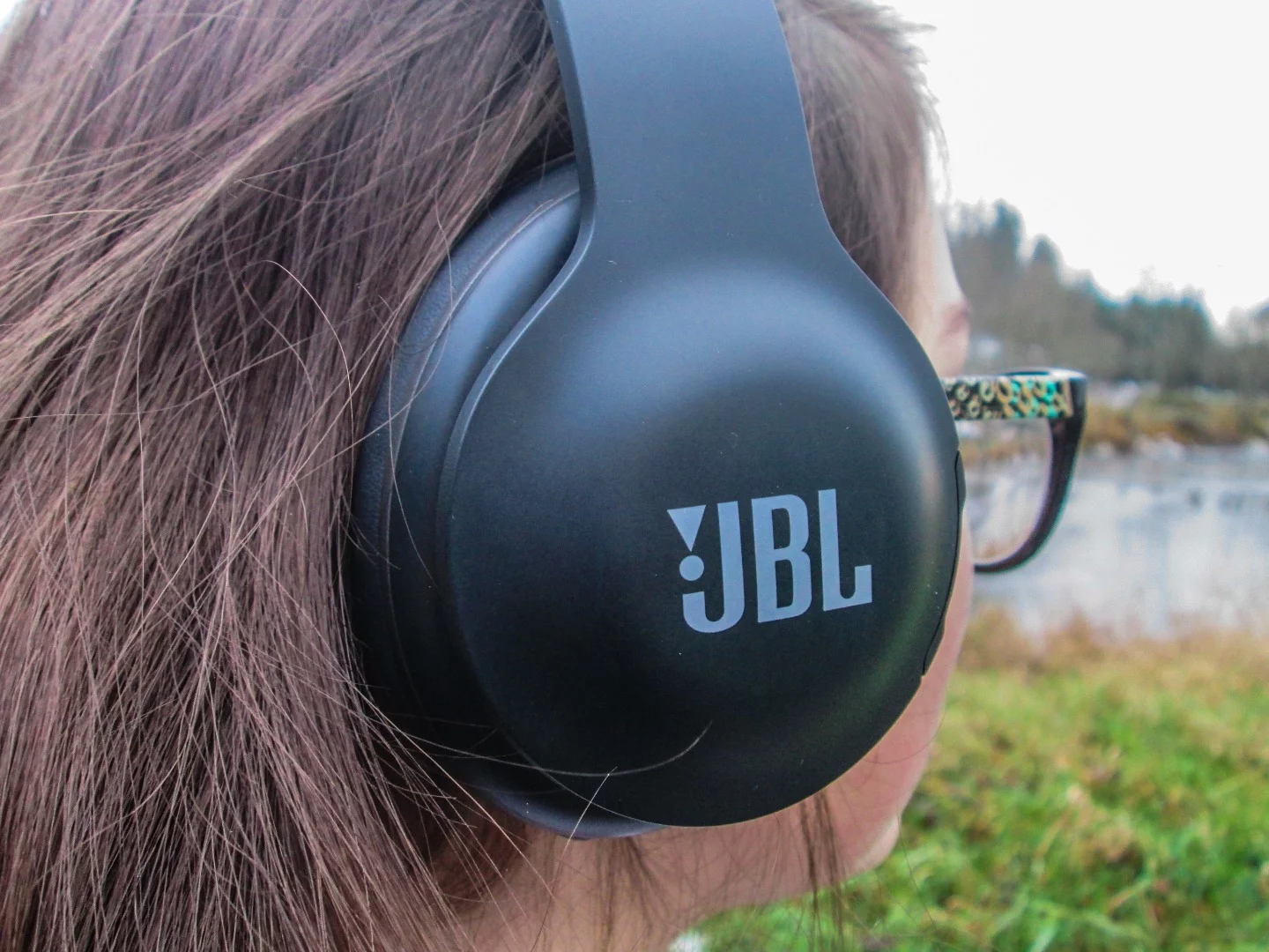 JBL Everest 700 Elite headphones
