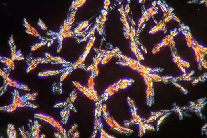 DMT (imaged in crystal form above) was the psychedelic used in one of the first animal studies to investigate the effects of microdosing