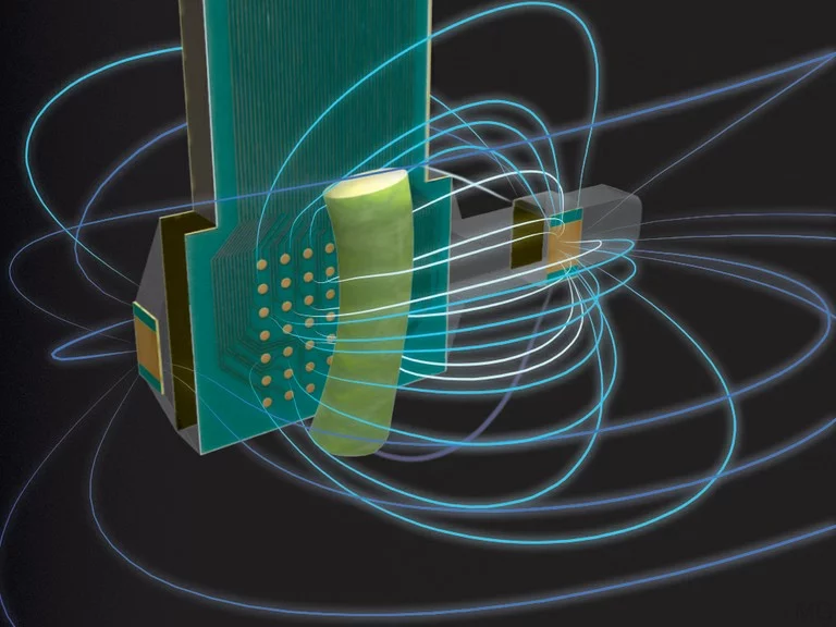 A diagram of the elephantnose fish-inspired camera, alongside a plant stem