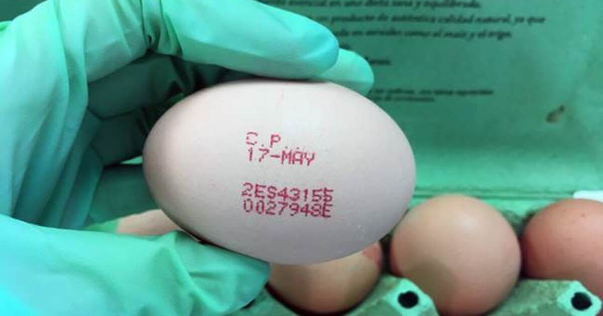 Spectral signatures used to check eggs' credentials