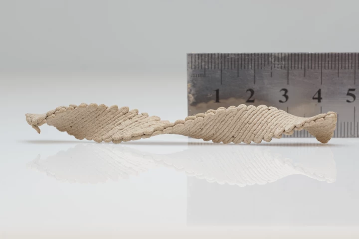 Scientists have demonstrated a form of printable wood-based ink that morphs into complex shapes as moisture evaporates