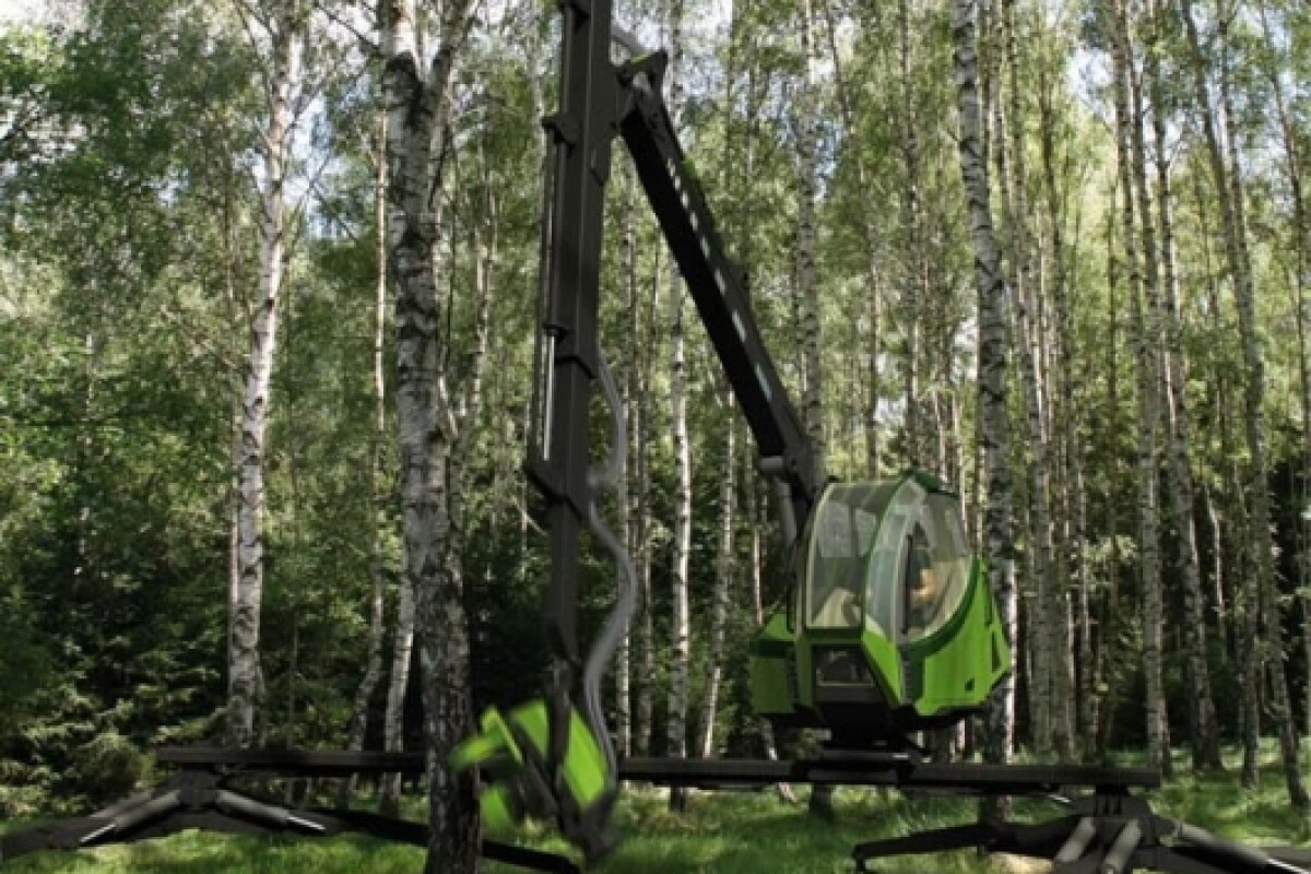 Tree harvesting design that is forestfriendly