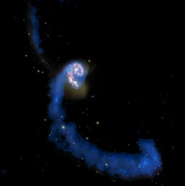 The Antennae Galaxy Credit: (NRAO/AUI/NSF); ALMA (ESO/NAOJ/NRAO); HST (NASA, ESA, and B. Whitmore (STScI)); J. Hibbard, (NRAO/AUI/NSF); NOAO/AURA/NSF.