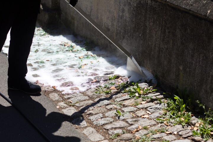 Pictured here being used to kill weeds between cobblestones, Foamstream has recently been trialled on olive groves in Greece