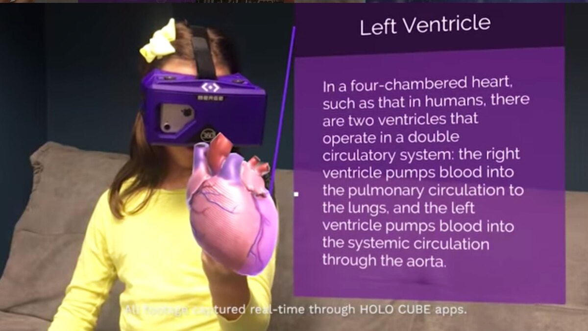 Studying anatomy is of the possible educational applications for the HoloCube
