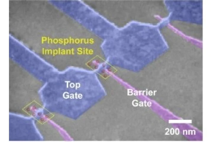 This single-atom transistor could prove extremely useful in the development of a better quantum bit for the next generation of personal computers.