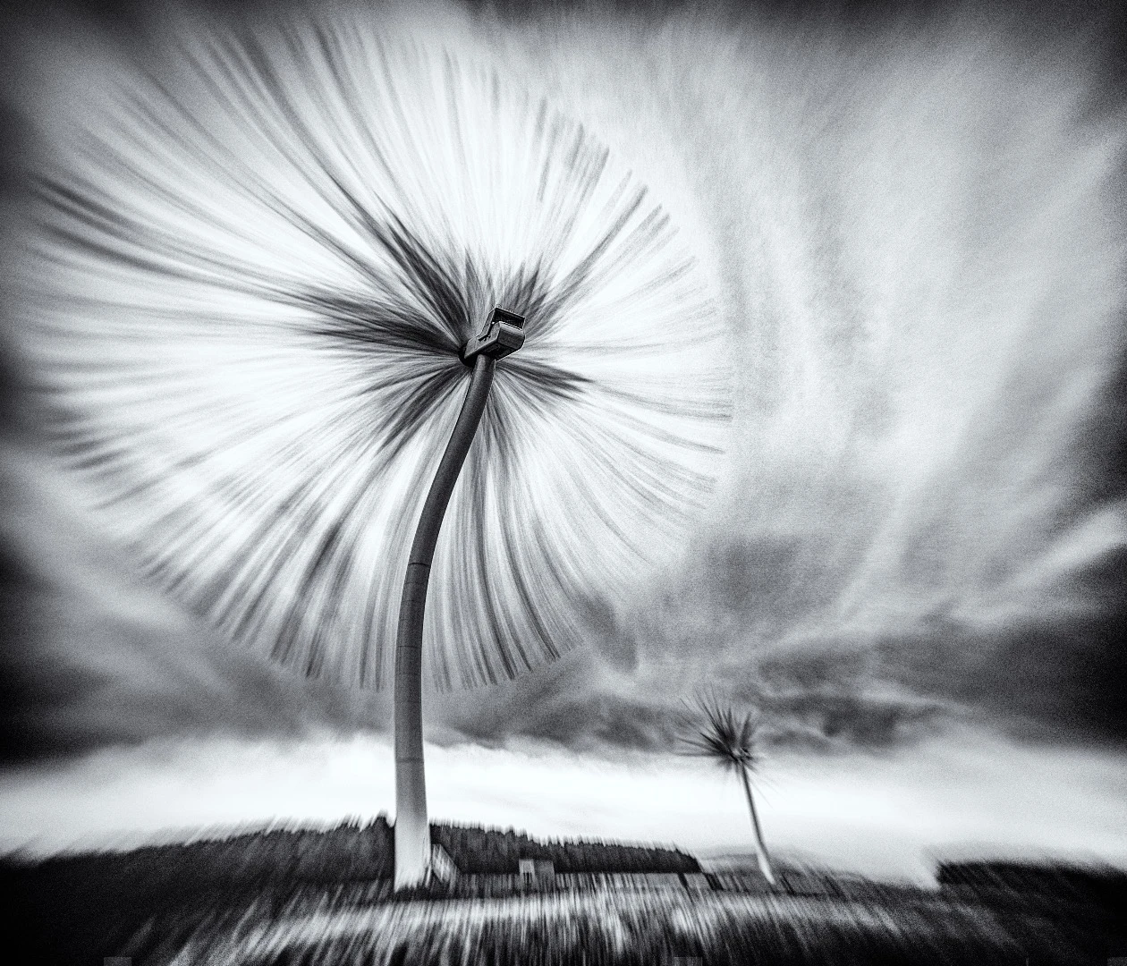 The Turbo Dandelion Wind Farm, by Derek Snee, was taken in Northumberland, UK, with a Fuji X-T1. "Imagine if we could use plants to harvest wind! Well now we can. Ladies and gentlemen, girls and boys, I give you The Turbo Dandelion Wind Farm," says the photographer