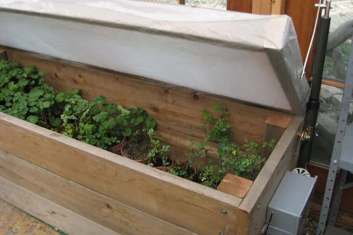 Dr Craig Hollabaugh has created a system that keeps the roots of his plants warm and cozy during the coldest months using electric heat cables running under sand on which the pots are placed