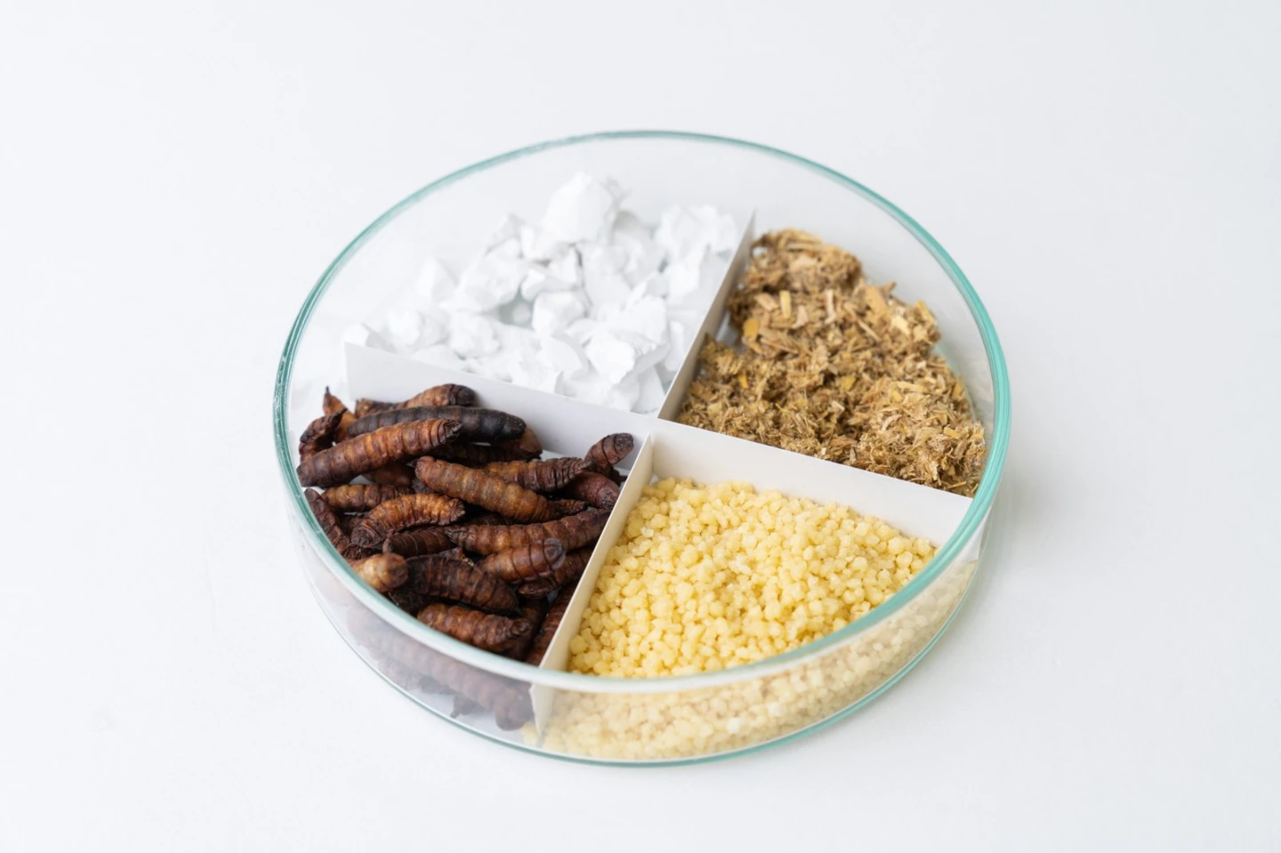 The researchers successfully conducted experiments on several different products.