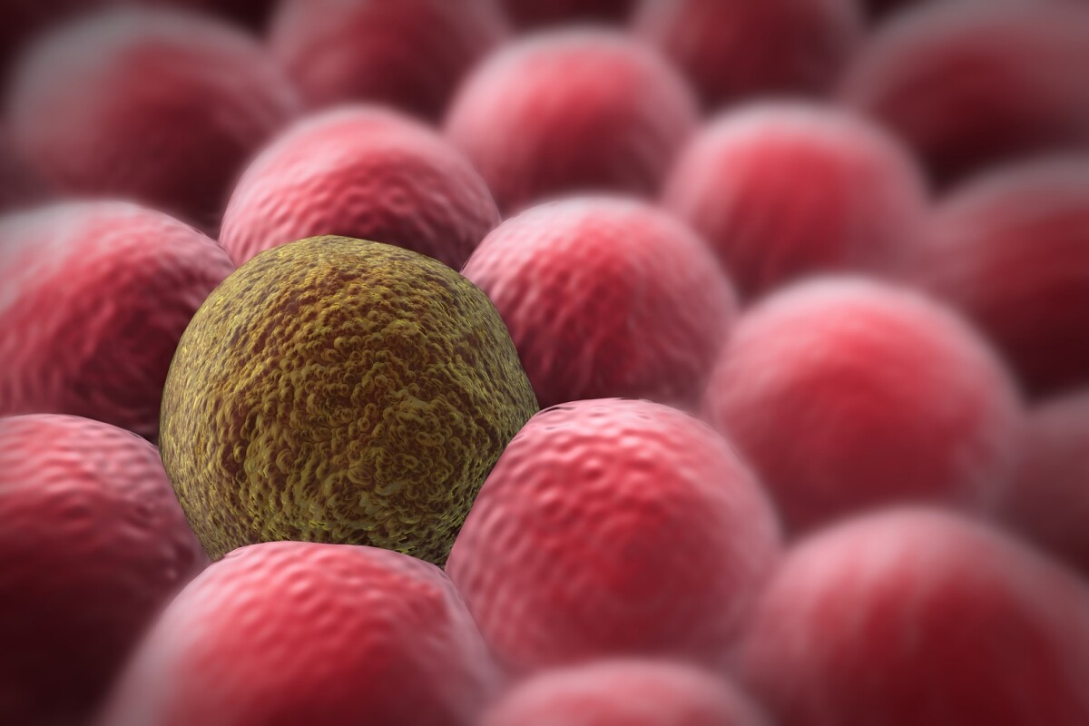 Oxford researchers have developed a new technique that can track the "life histories" of cancer cells