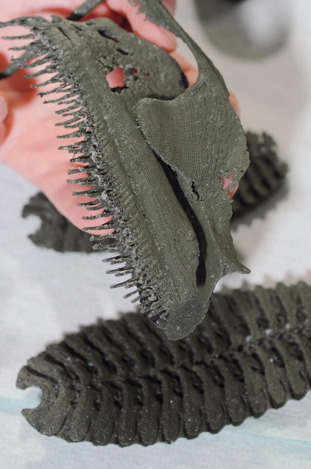 An enlarged 3D rapid prototype of a lamella (top) and a remora's adhesive disk (bottom)