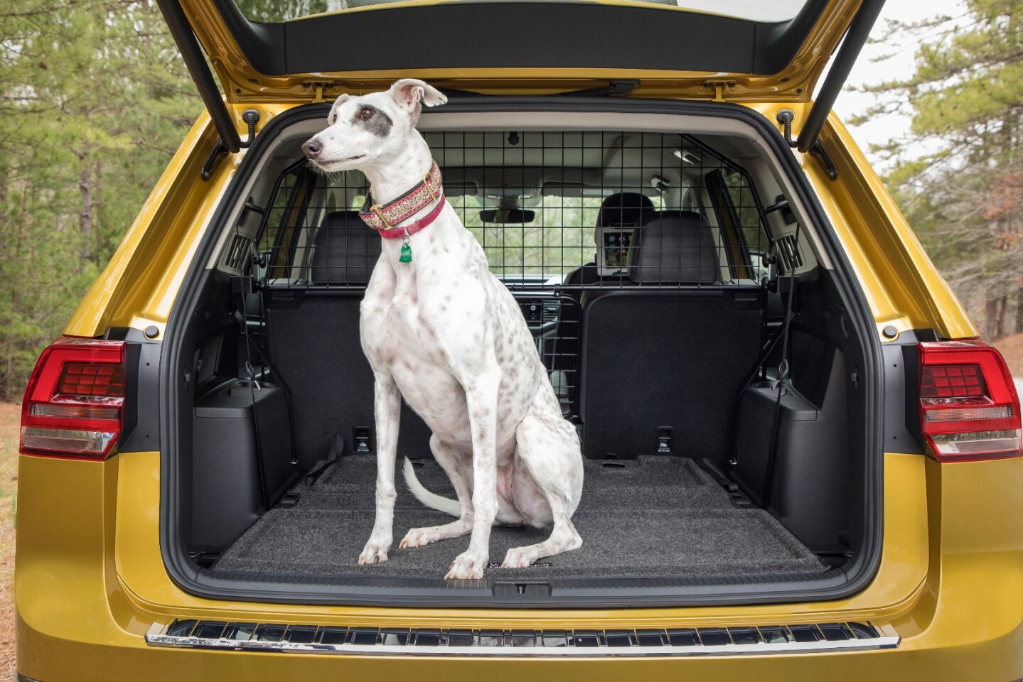 A different kind of cargo loaded up in back of the VW Atlas Weekend Edition