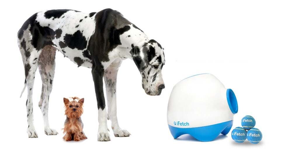 The iFetch lets dogs of all sizes play fetch by themselves