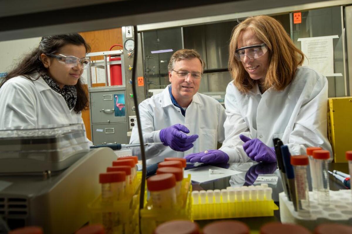 The technique was developed in the laboratory of Adjunct Associate Professor Glendon Parker (center)