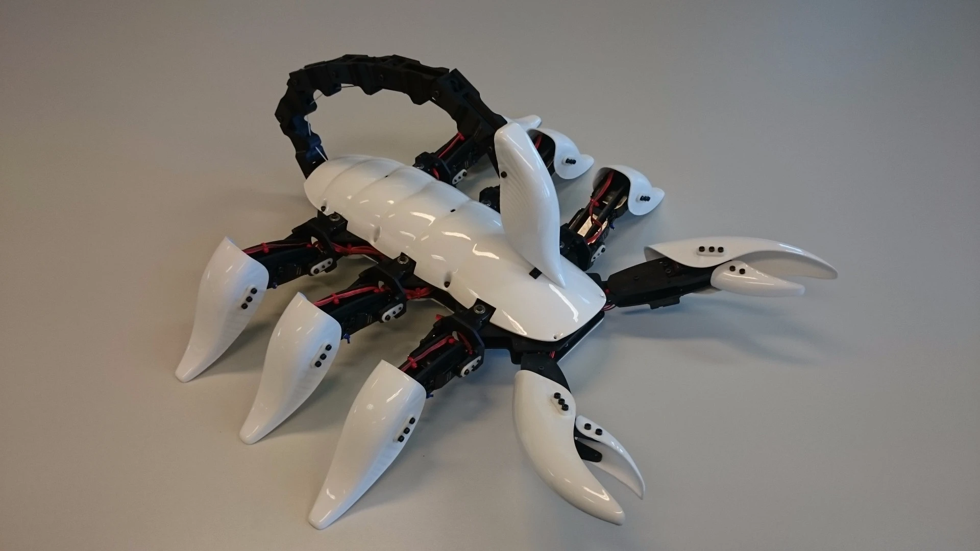The shell, claws, leg ends and tail stinger are fashioned from thermoformed polystyrene