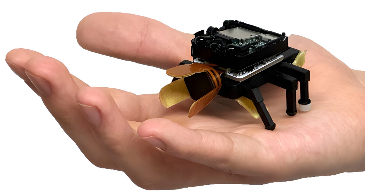 KAIST Unveils BeetleBot With 45% Contractile LCE Muscles — New Atlas