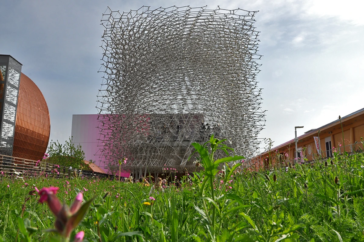 The stand out UK Pavilion is designed by British artist Wolfgang Buttress