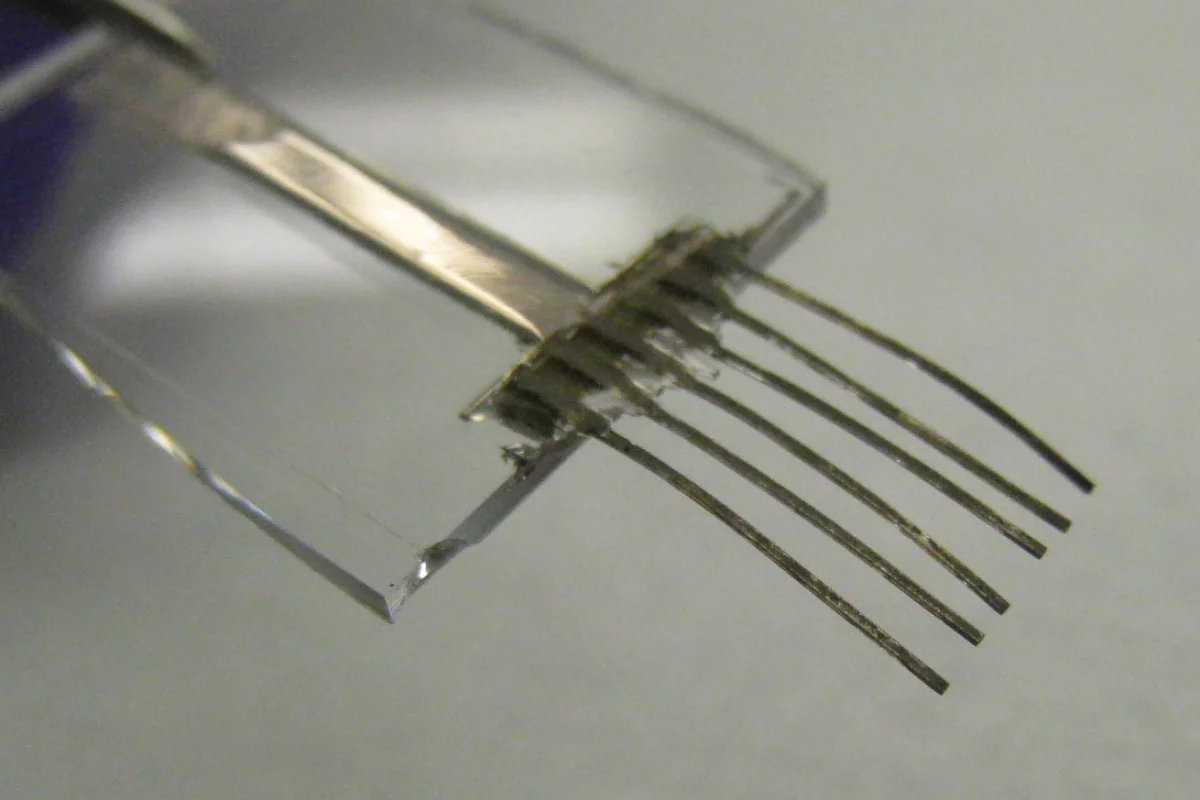 Scientists at Berkeley Lab and the University of California have created "e-whiskers" that mimic those of cats