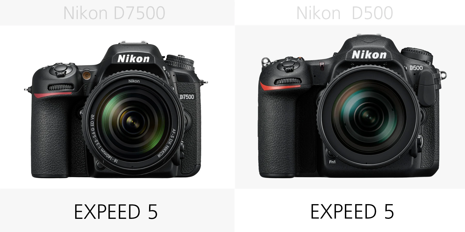 The image processors of the Nikon D7500 and Nikon D500 compared