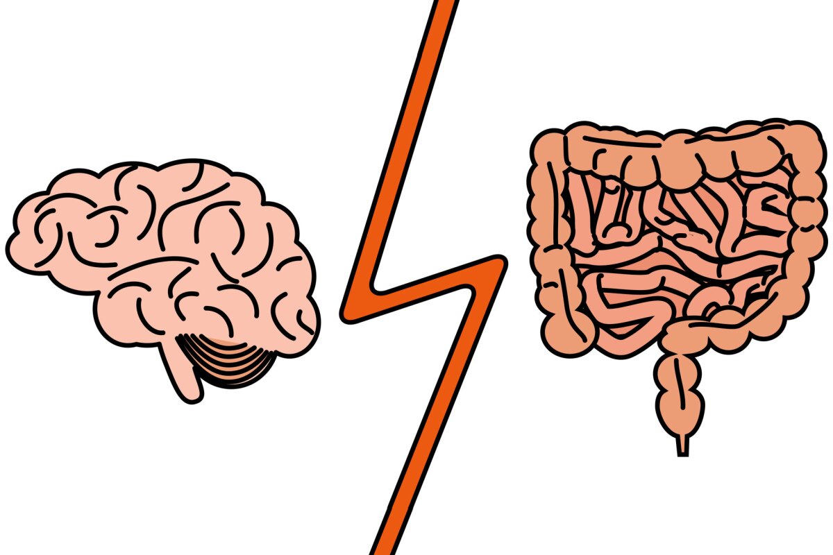 A new study builds on the growing hypothesis that Parkinson's disease may not originate in the brain