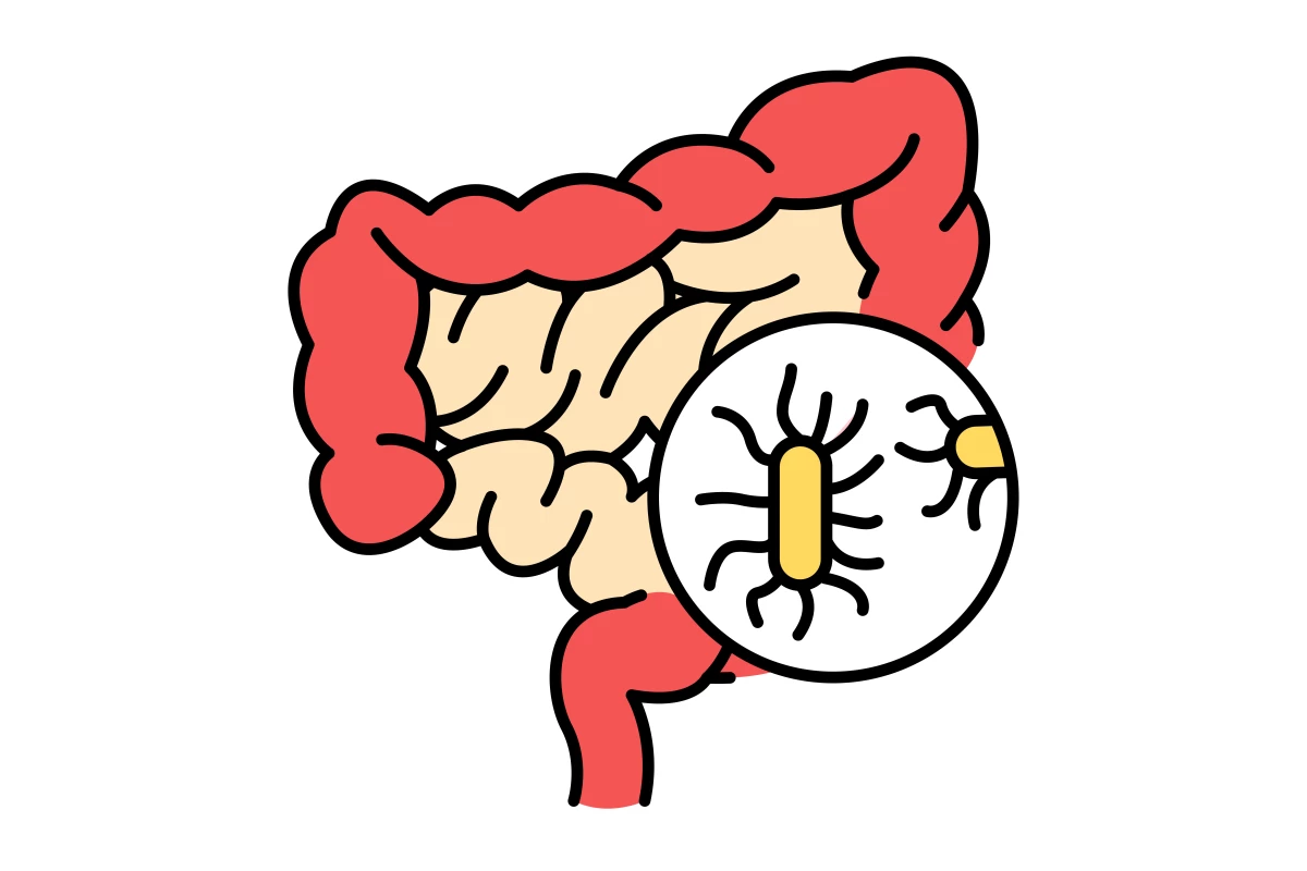 A new study speculates dietary changes over the past century have altered the average human microbiome and subsequently lowered our average body temperature