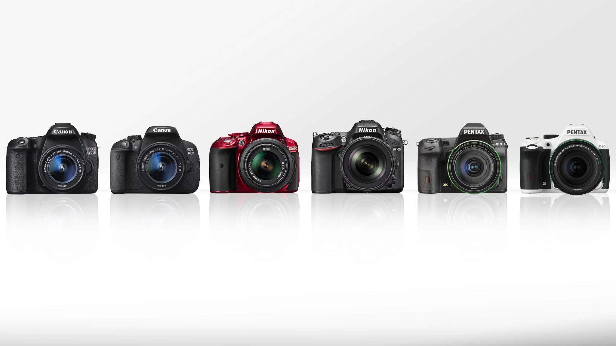 Gizmag compares some of the best mid-range DSLRs on the market