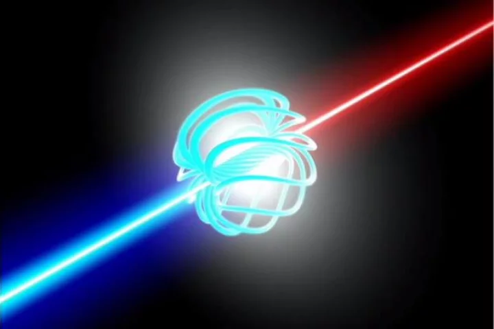 A group of scientists are turning to Indiegogo to fund fusion power research (Image: LPP Fusion)