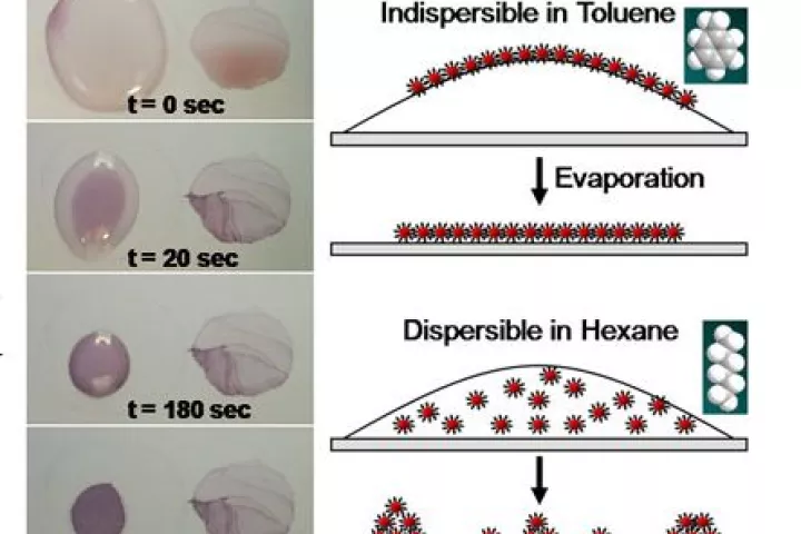 Diagram of the gold monolayering process