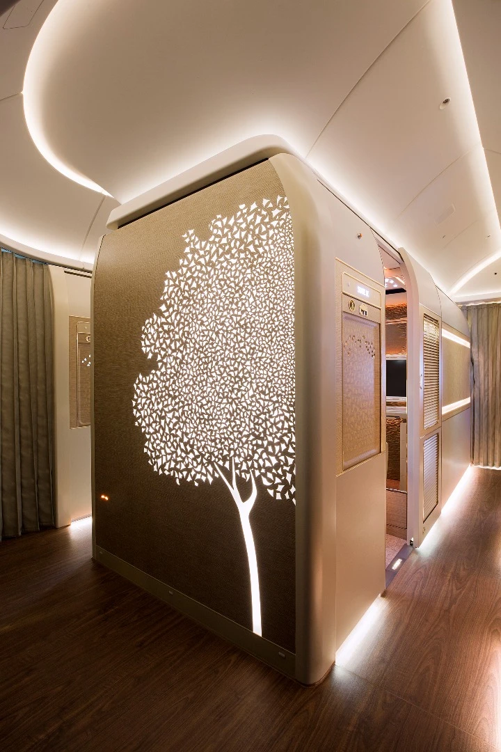 The Emirate 777s use a Ghaf evergreen tree motif