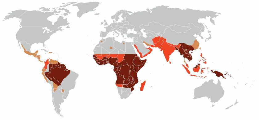 Map of the world showing the primary range of malaria infestation with dark red regions indicating drug resistant malaria, lighter red regions resistance to older drugs, yellow regions showing no drug resistance, and grey regions being malaria-free (Photo: Percheire via Wikipedia)