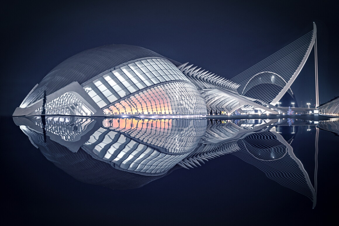 Fish, que fue llevado por Pedro Luis Ajuriaguerra Saiz en un Sony Alpha 9 en España, ha sido declarado ganador del Premio Art of Building Jueces 2020