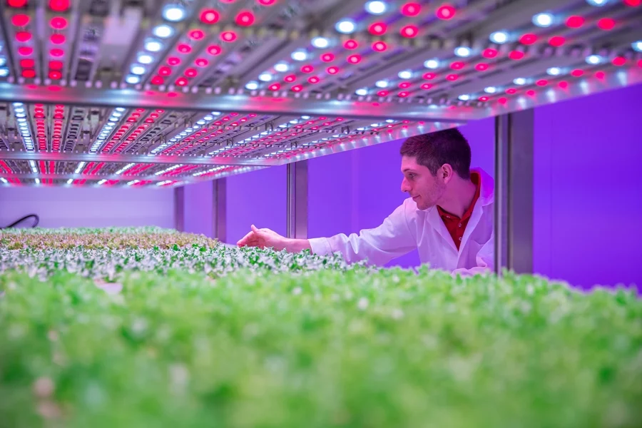 The aim of the Philips GrowWise City Farming research center is to develop technology to "grow tasty, healthy and sustainable food virtually anywhere"