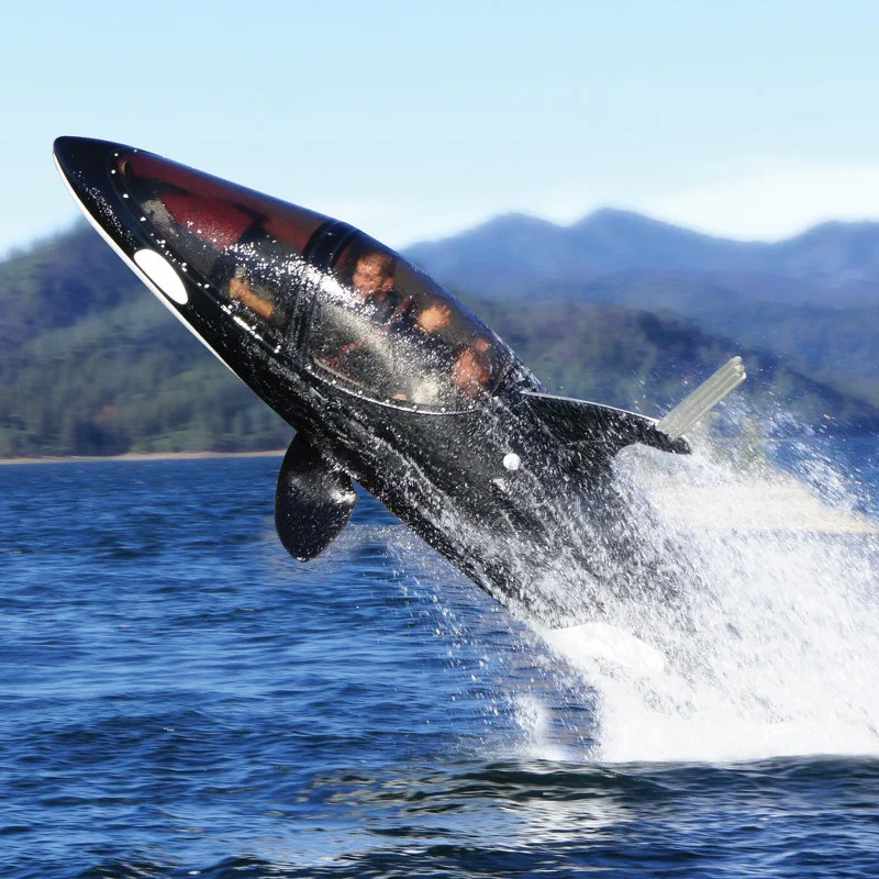 The Seabreacher Y seats two, in a sealed cockpit (Photo: Hammacher Schlemmer)