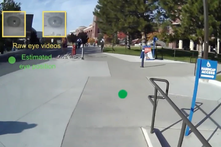 The green dot (middle) indicates where within the shot the person is looking