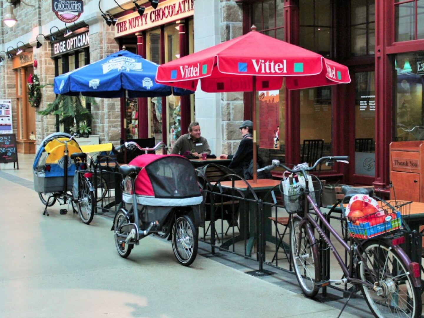 salamander bike stroller